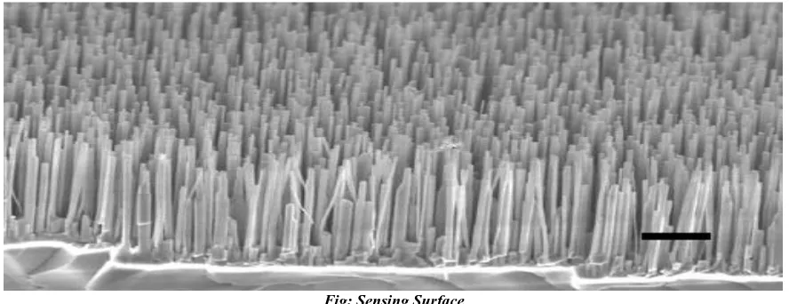 Fig: Sensing Surface 