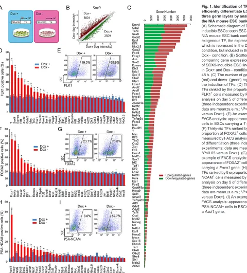 Fig. 1. Identification of TFs that