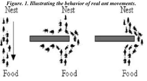 Figure. 1. Illustrating the behavior of real ant movements. 