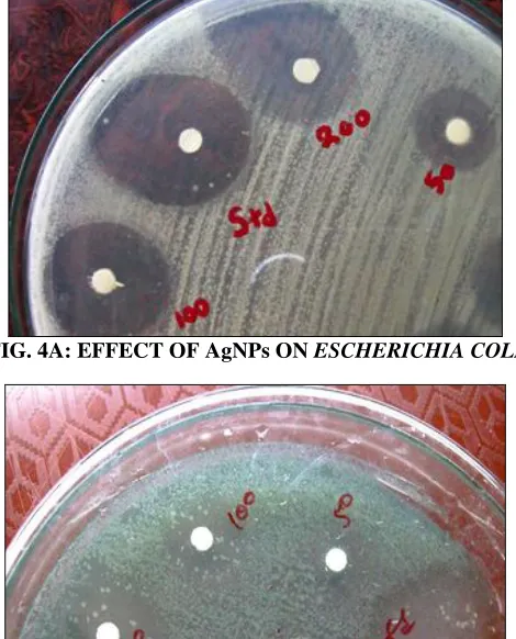 FIG. 4A: EFFECT OF AgNPs ON  ESCHERICHIA COLI 