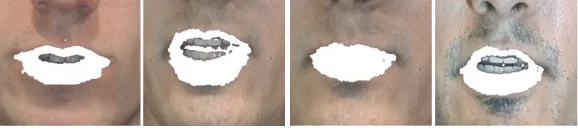 Figure 8: Segmented lips overlayed on the original image.