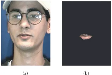 Figure 1: (a) Original image. (b) Manually extracted lip ROI.