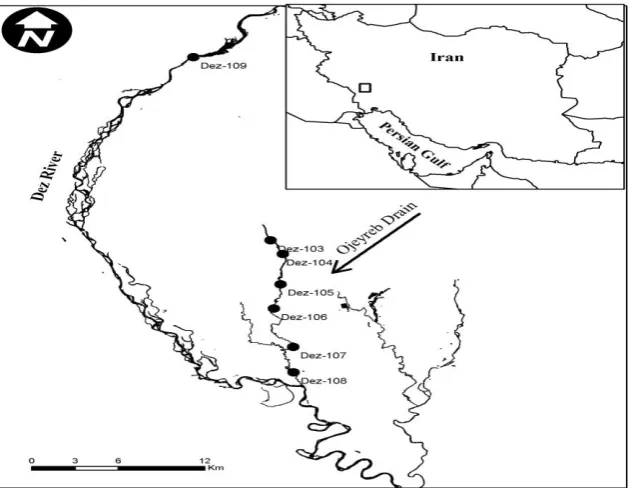 Figure 1: Geographical position of sampling sites 