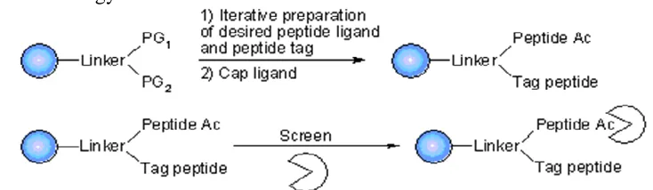 FIG. 10: SEQUENCING OF ENCODED DNAs