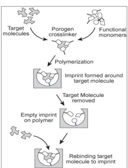 FIG. 5: SCHEMATIC REPRESENTATION OF THE  PREPARATION OF MOLECULAR IMPRINTS 