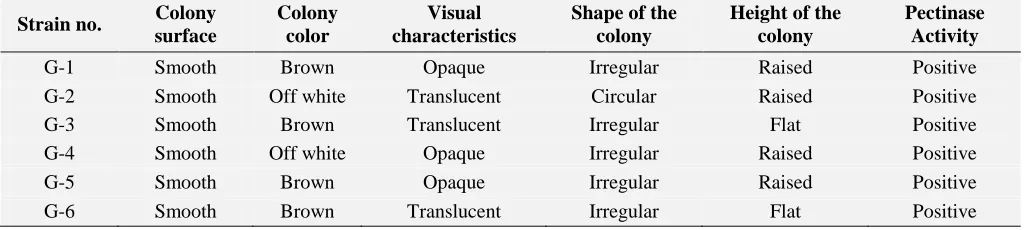 TABLE 2: TABULATION FOR RESULTS OF COLONY CHARACTERISTICS WHICH SHOWS PECTINASE ACTIVITY  