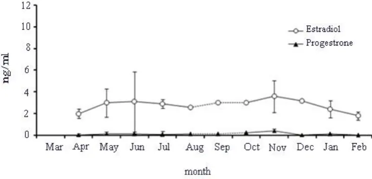 Figure 3: Changes in testosterone hormone level in female grey mullet (M. cephalous) in different months