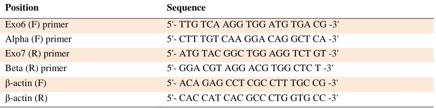 Table 2. Sequence of primer pairs used for Real Time PCR evaluating hTERT variants and β-actin house keeping gene expression