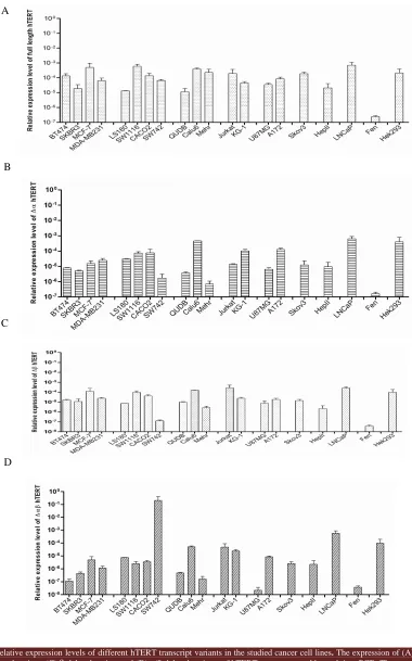 Fig. 3. Relative expression levels of different hTERT transcript variants in the studied cancer cell lines