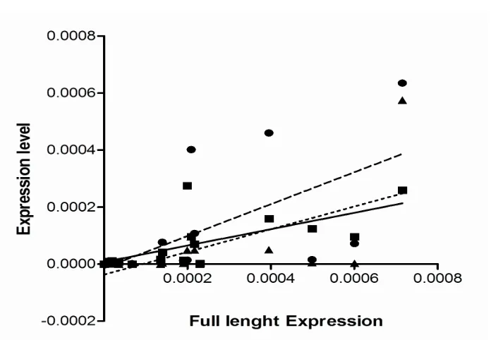Fig. 4 Quantitation of telomerase activity in different cancer cell lines  Fig. 4. Telomerase enzyme activity in the cells was quantified by TRAP assay