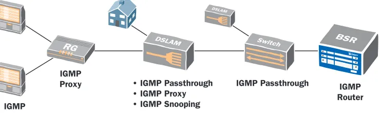 Figure 7: Common IGMP Implementations for IPTV