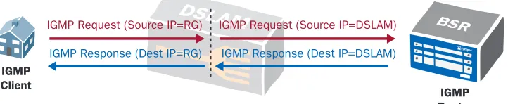 Figure 2: DSLAM with IGMP Snooping