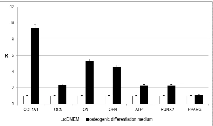 Fig. 3. Effect of osteogenic differentiation medium on osteoblast markers expression in 15 days cultured ADSCs