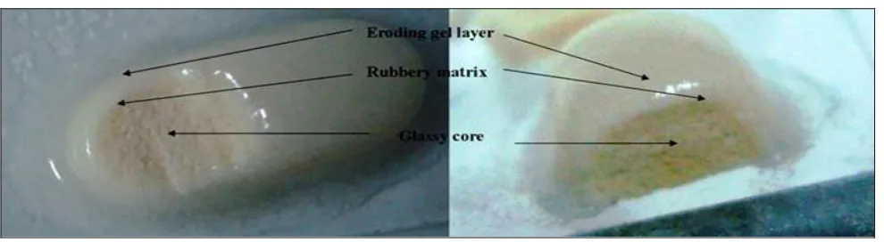 FIG. 3: DRUG RELEASE PROFILE OF BATCH VI  UNDER VARIOUS CONDITIONS (VERTICAL BARS 