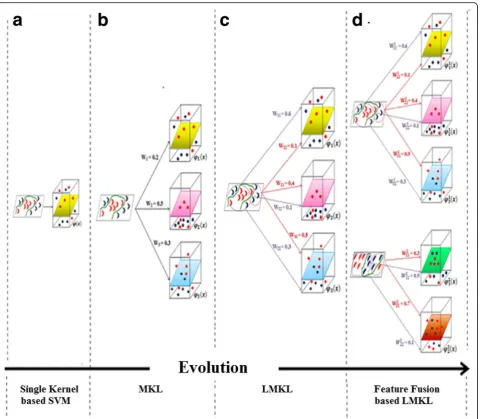 Fig. 2 This figure illustrates different approaches of using the kernel in combination with SVM