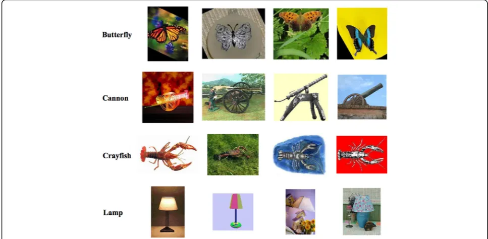 Fig. 7 A few instance images from some difficult classes from Caltech 101. This figure illustrates large intra class variance in each class
