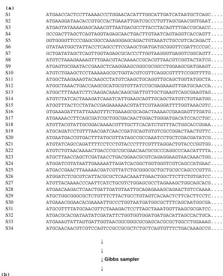 Fig 1. The sequences of E. coli NC101 contig1. The above panel represents the data input in Gibbs sampler (a)
