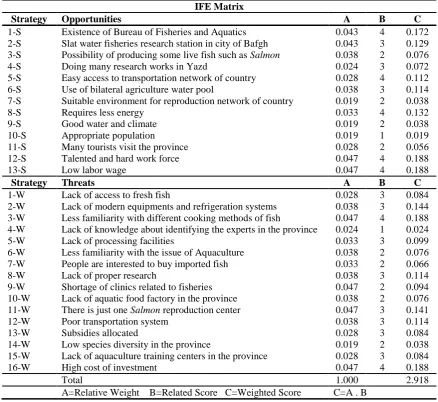 Table 3: Internal factor examining (IFE) matrix IFE Matrix 