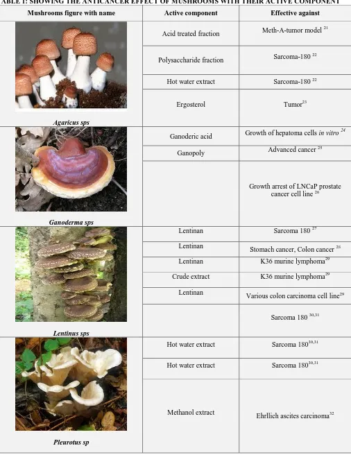 TABLE 1: SHOWING THE ANTICANCER EFFECT OF MUSHROOMS WITH THEIR ACTIVE COMPONENT 