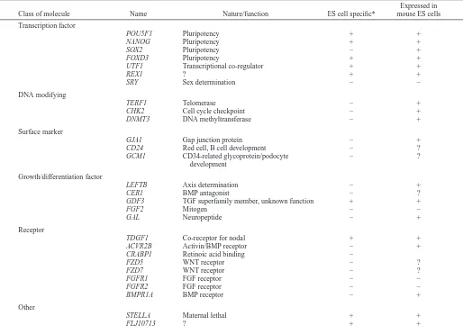 Table 1. A selective list of genes that are highly expressed in human ES cells relative to other cells types