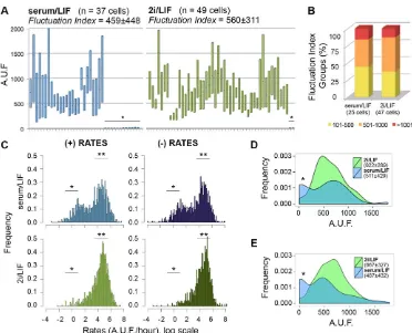 Table 1. Kinetics of Nanog:VNP gain (+) and decay (−) in all fluctuatingmESCs