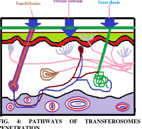 FIG. PENETRATION 