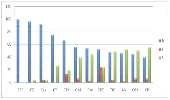 Fig 1. The antibiotic resistance and susceptibility of P. aeruginosa strains isolated from Shahid Beheshti hospital ICU of Babol to different 