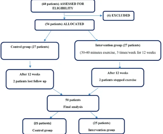 Figure 1: Flow diagram illustrating participating patients and dropout through the study.