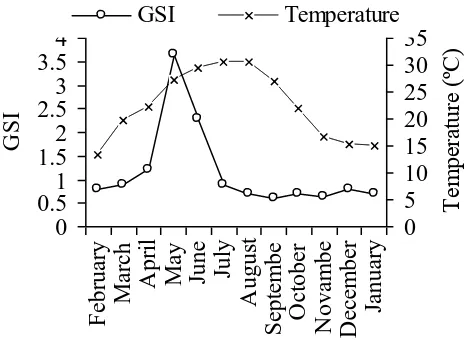 Figure 5: Monthly variation of the GSI values for female leaping grey mullet and water temperature in Beymelek Lagoon 