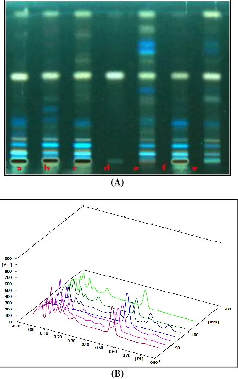FIGURE 3: HPTLC PLATE PHOTO (A) AND OVERLAY (B) OF CASSIA FISTULA FRUIT PULP AND ITS FORMULATION WITH β -SITOSTEROL AT 366 NM