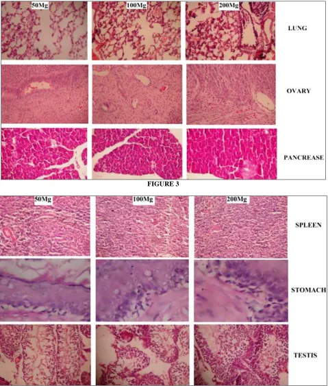 FIGURE 3   FIGURE 4