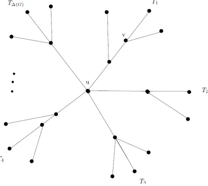 Figure 5.  The configuration of graph G in Theorem 5. 