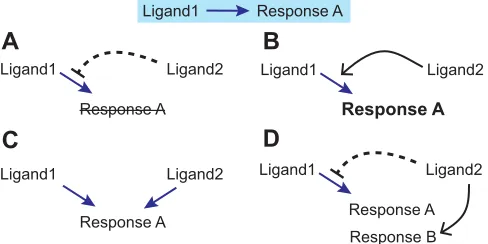 Table 1. Spatial coordination (periodic pattern or ligand propagation) when one or two Notch ligands are co-expressed, as obtained from Eqns 1-6