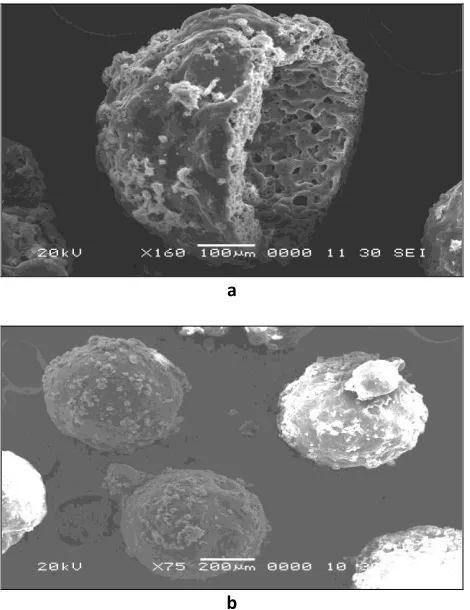 FIG. 7(a, b, c): SCANNING ELECTRON MICROSCOPY (SEM) OF PIOGLITAZONE LOADED EUDRAGIT S-100 CELLULOSE MICROSPHERES