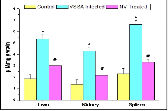 FIGURE 1: NITRATE (NO) GENERATION IN LIVER, KIDNEY AND SPLEEN OF CONTROL, VSSA-INFECTED AND NANOCONJUGATED VANCOMYCIN TREATED GROUP  