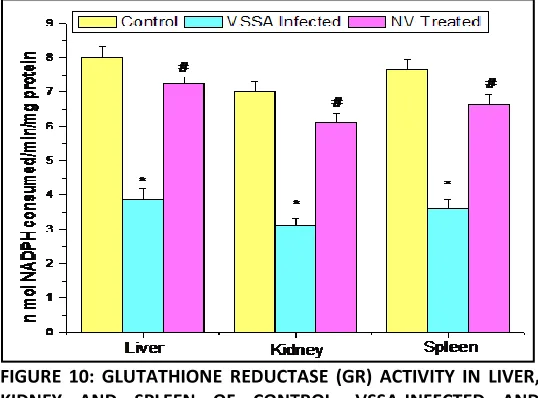 FIGURE 7: SUPEROXIDE DISMUTASE (SOD) ACTIVITY IN LIVER, KIDNEY AND SPLEEN OF CONTROL, VSSA-INFECTED AND NANOCONJUGATED VANCOMYCIN TREATED GROUP 