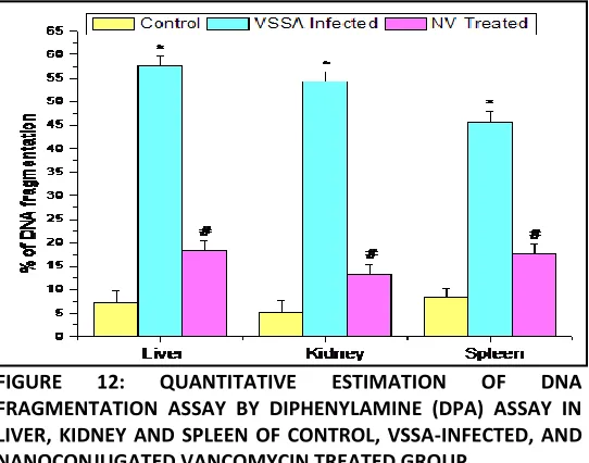FIGURE 11: GLUTATHIONE-S-TRANSFERASE (GST) ACTIVITY IN LIVER, KIDNEY AND SPLEEN OF CONTROL, VSSA-INFECTED AND NANOCONJUGATED VANCOMYCIN TREATED GROUP 