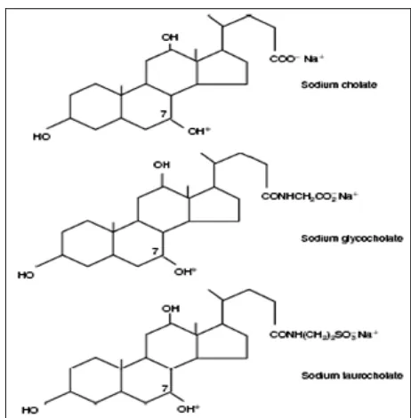 FIG. 4: BILE SALTS USED AS ABSORPTION ENHANCER (DEOXY- FORMS OF THESE BILE SALTS DO NOT HAVE THE POSITION 7 HYDROXYL (OH*) GROUP) 