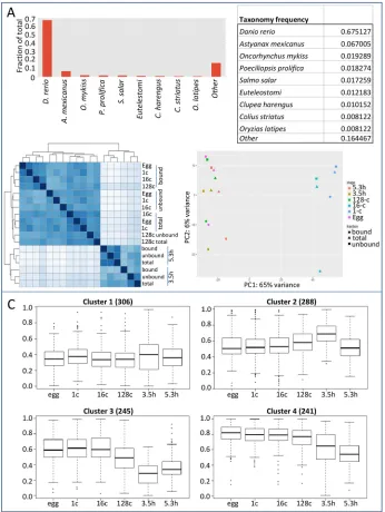 Fig. 6. Discovery of novel transcribed regionsin the zebrafish genome. (A) BLAST alignment(E-value threshold=1e-5) revealed that a largemajority (88%) of the identified novel transfragshad the highest scoring match to a zebrafishannotated transcript, where