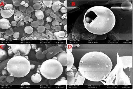 TABLE 2: MICROMERITIC PROPERTIES OF DIFFERENT FLOATING MICROSPHERES 