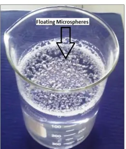 FIG. 2: PHOTOGRAPH SHOWING THE FLOATING MICROSPHERES  ON THE SURFACE OF 0.1 N HCl (pH 1.2) 