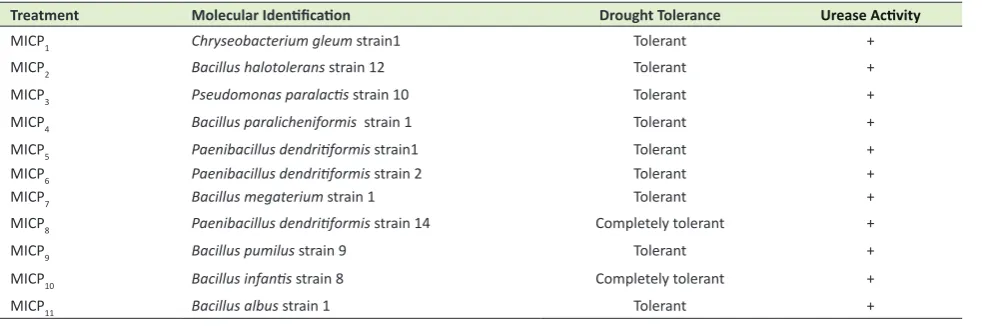 Figure 1. The soils particle size distribution curve. 