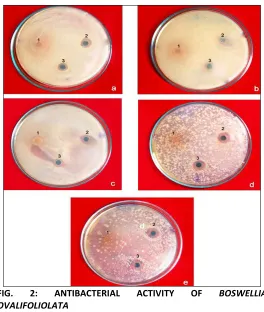 FIG. 2: 