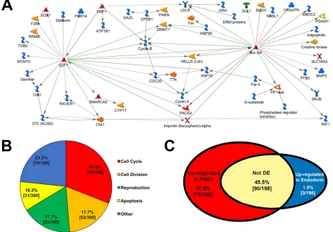 Fig. 2. Analysis of PGC-enriched transcripts. (A) GeneGo direct interaction network connecting 53 of the 150 most highly expressed PGC-enriched transcripts(network key: https://portal.genego.com/help/MC_legend.pdf)