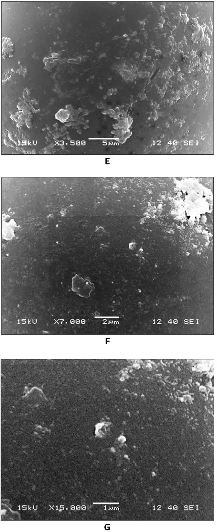FIG. 8:  SCANNING ELECTRON MICROGRAPH OF GLIBENCLAMIDE 
