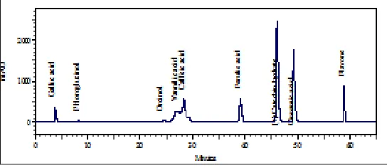 TABLE 1: TOTAL PROTEIN CONTENT (mg/g TISSUE) IN COSTUS SPECIOSUS 