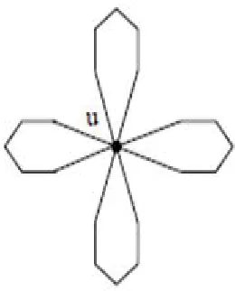 Figure 8. A Star Hexagonal Cactus. 