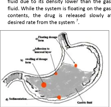 FIGURE 1: STOMACH SPECIFIC DRUG DELIVERY SYSTEMS  