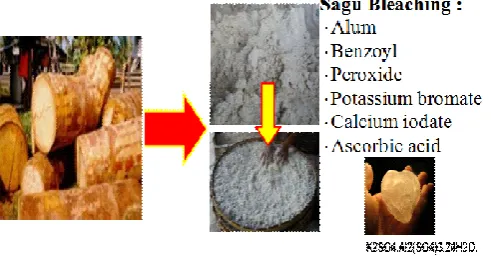Figure 2. Schematic process of selection and analysis of microbial laccase bioleaching sago  