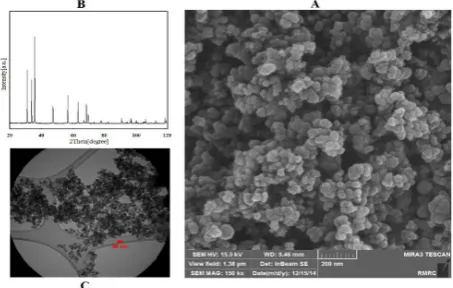 Figure 1. (A) Scanning electron microscope image (SEM) nanoparticles zinc oxide; (B) Oxide X-ray powder diffraction for ZnO nanoparticles; c) Transmission electron microscope image (TEM) of ZnO nanoparticles.
